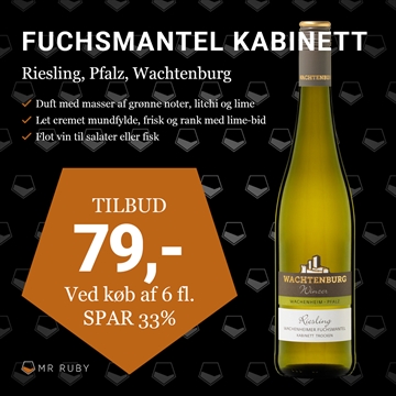 2023 Riesling Fuchsmantel Kabinett Trocken, Weinland Wachtenburg, Pfalz, Tyskland